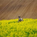 Dlaczego regularny przegląd AGD to oszczędność, a nie obciążenie?